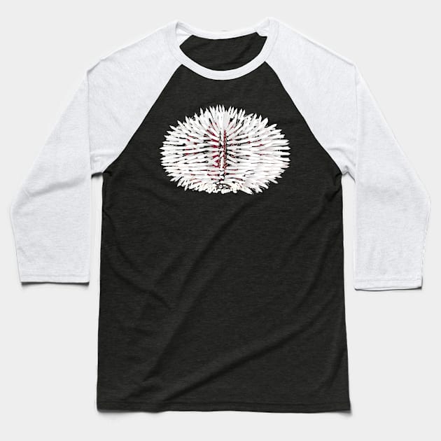 White and red sea urchin animal Baseball T-Shirt by FabuleusePlanete